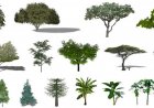Arvores revit para download