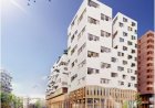 Arquitetura como um negócio próprio