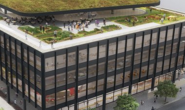 Teto jardim exemplar neste projeto