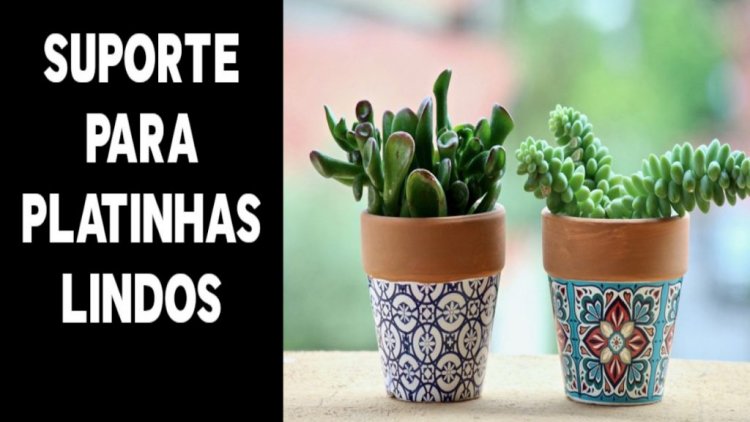Plantinha para sua casa ficar linda