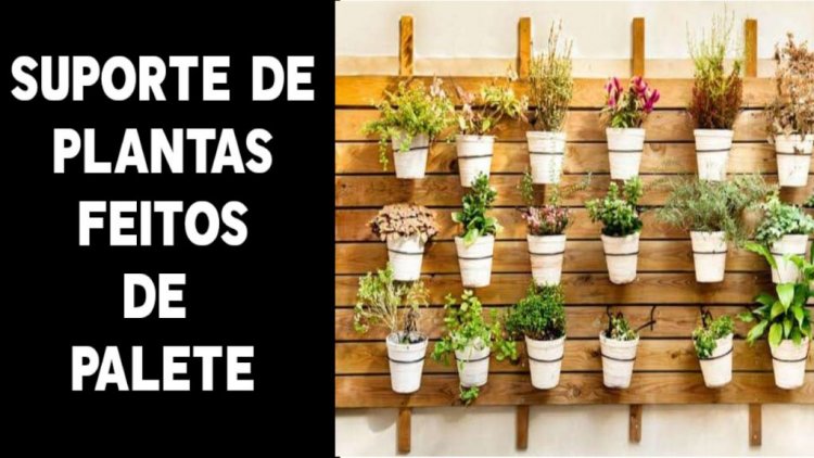 Prateleira palete para plantas