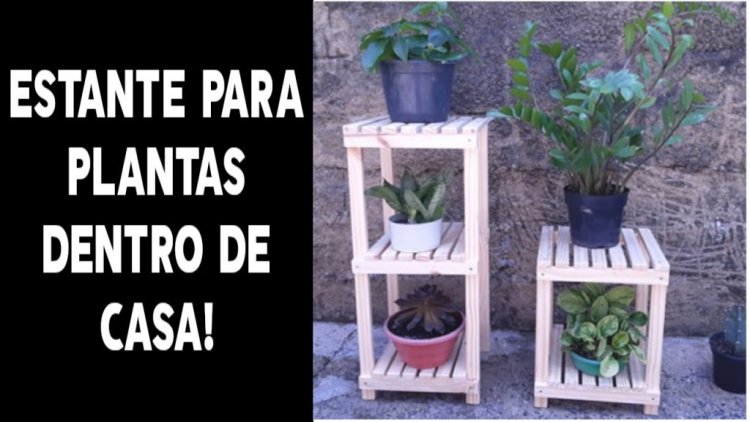 Estantes de plantas interior da casa