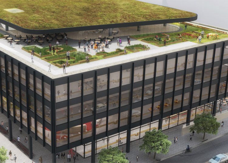 Teto jardim exemplar neste projeto